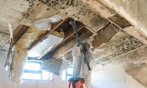 Best Residential Mold Inspection & Testing  in North Decatur, GA